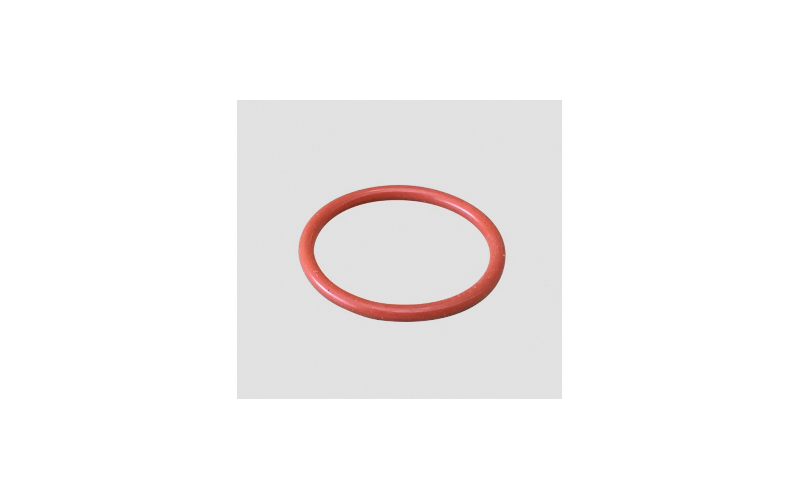 Truma O-Ring