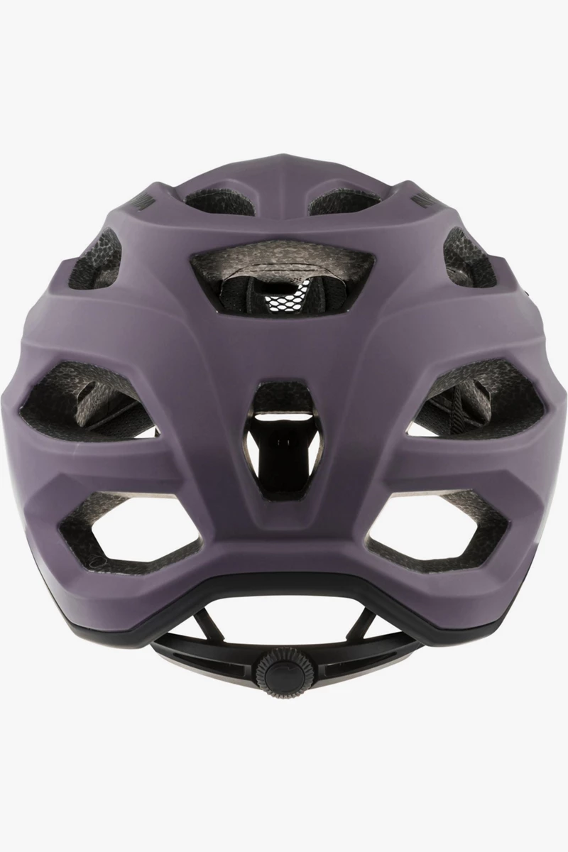 ALPINA Carapax 2.0 Velohelm