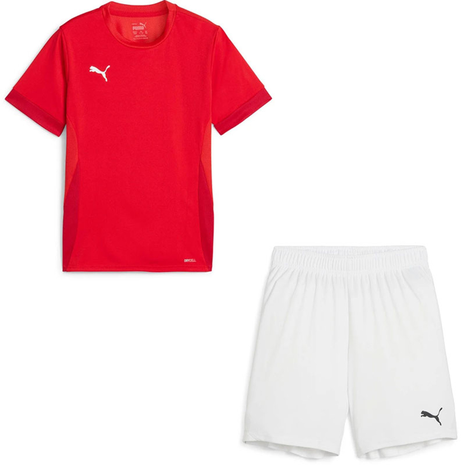 Puma GOAL Trainingsset Kids