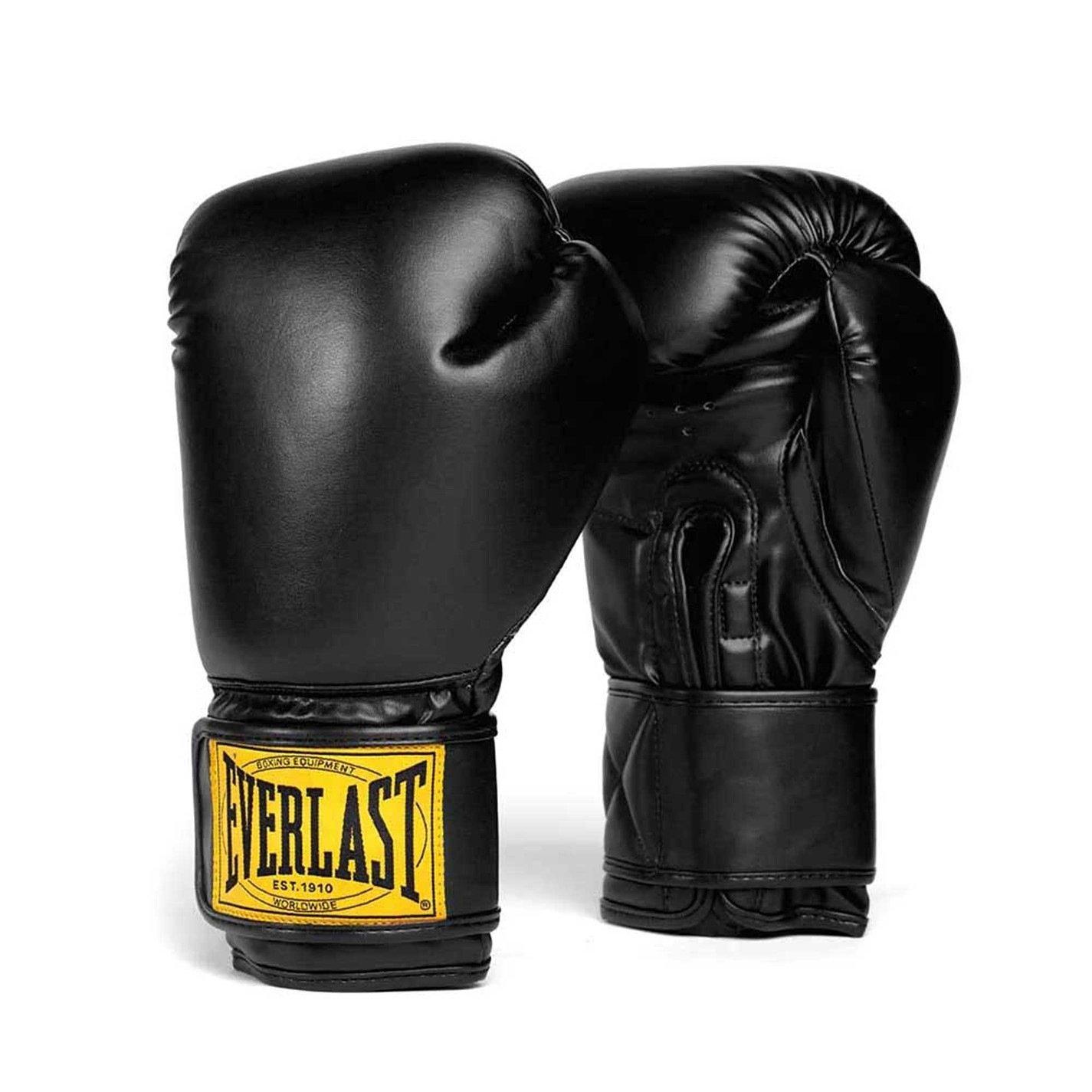 Everlast 1910 Classic Boxing Gloves