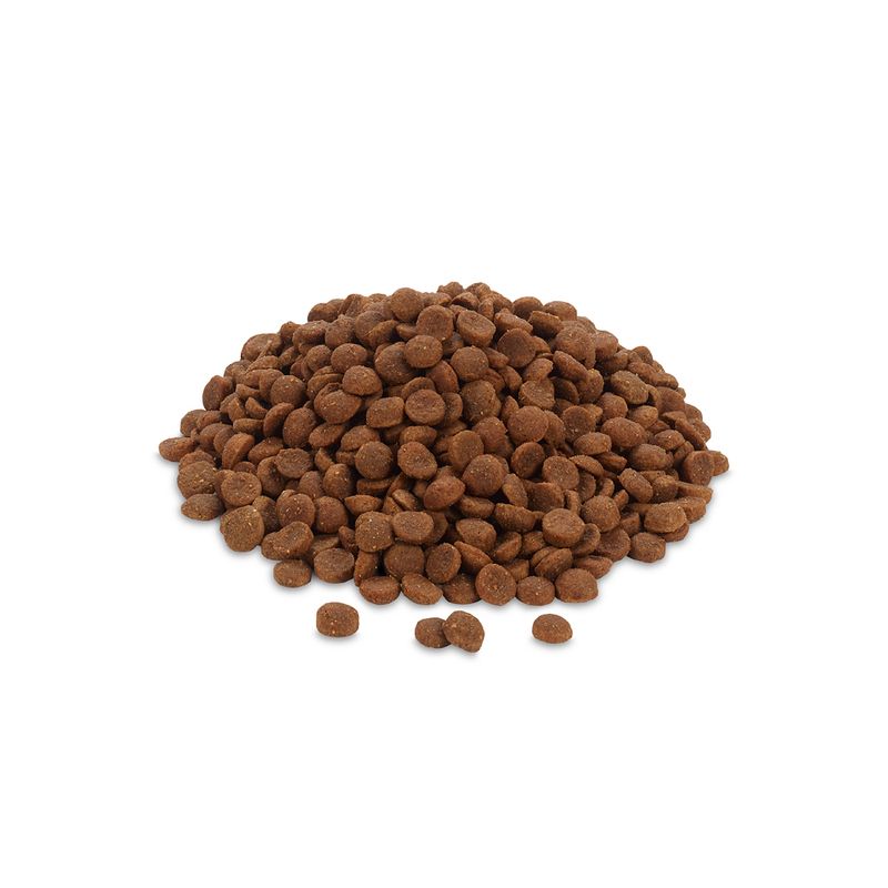 Feringa Adult, poisson