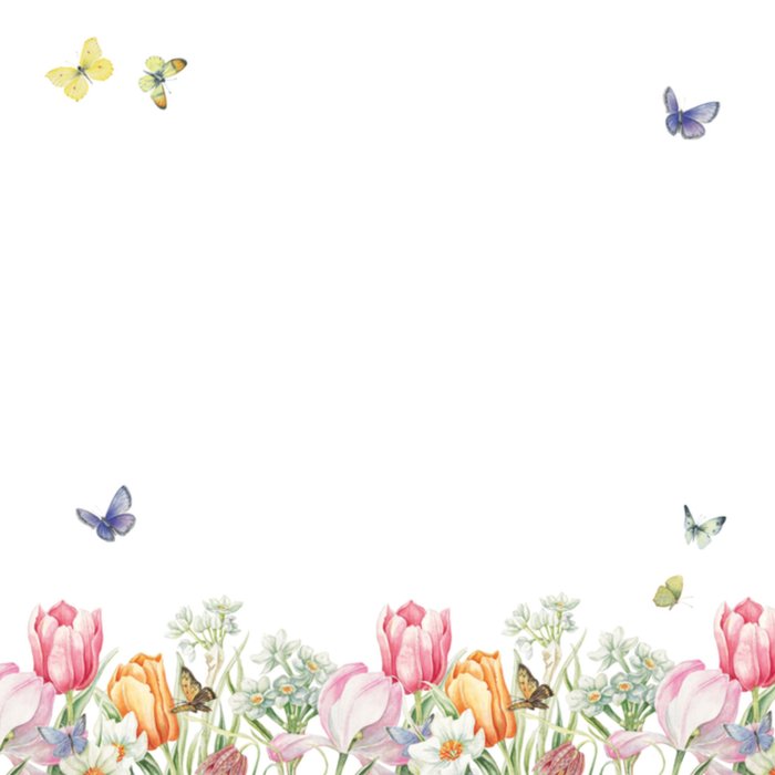 Tulpen voor de jarige