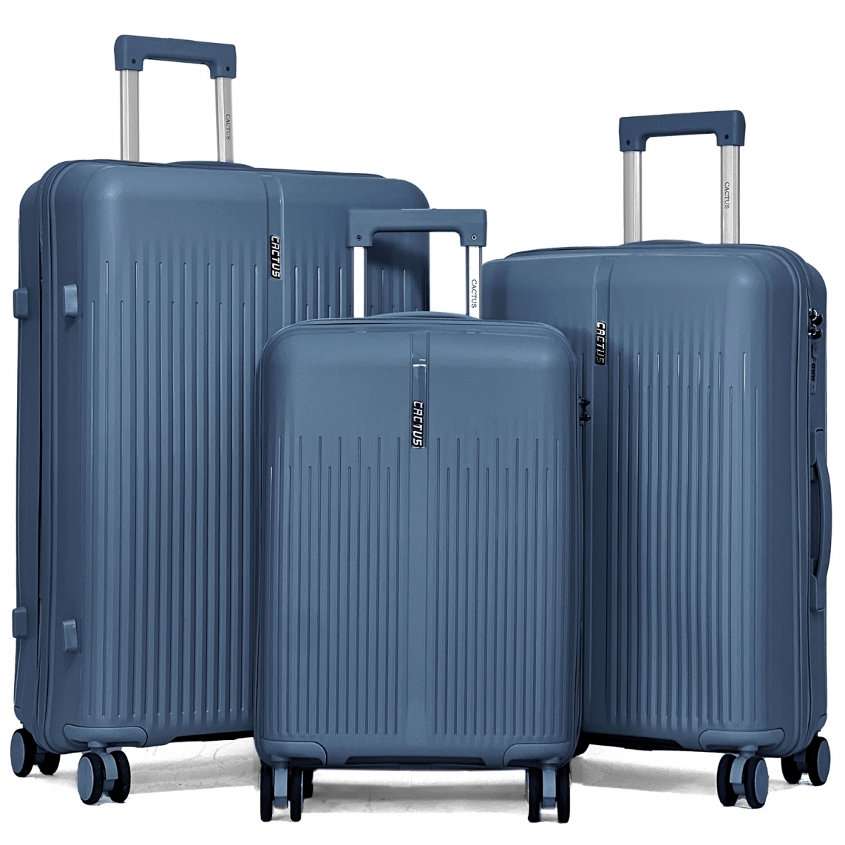 Cactus Lot de 3 valises rigides dont une valise cabine Cactus TSA PETE