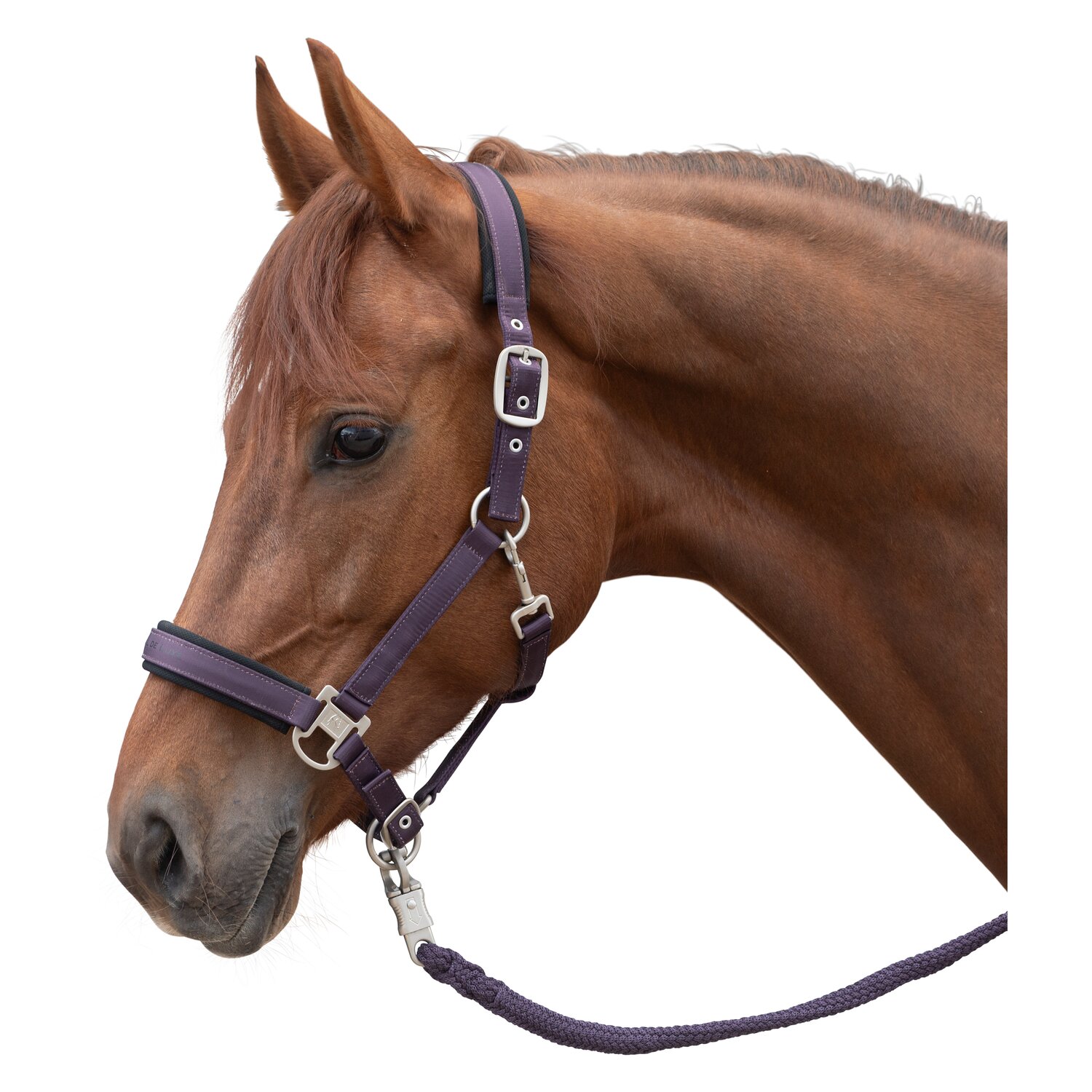 Cheval de Luxe Halfter  - velvet plum