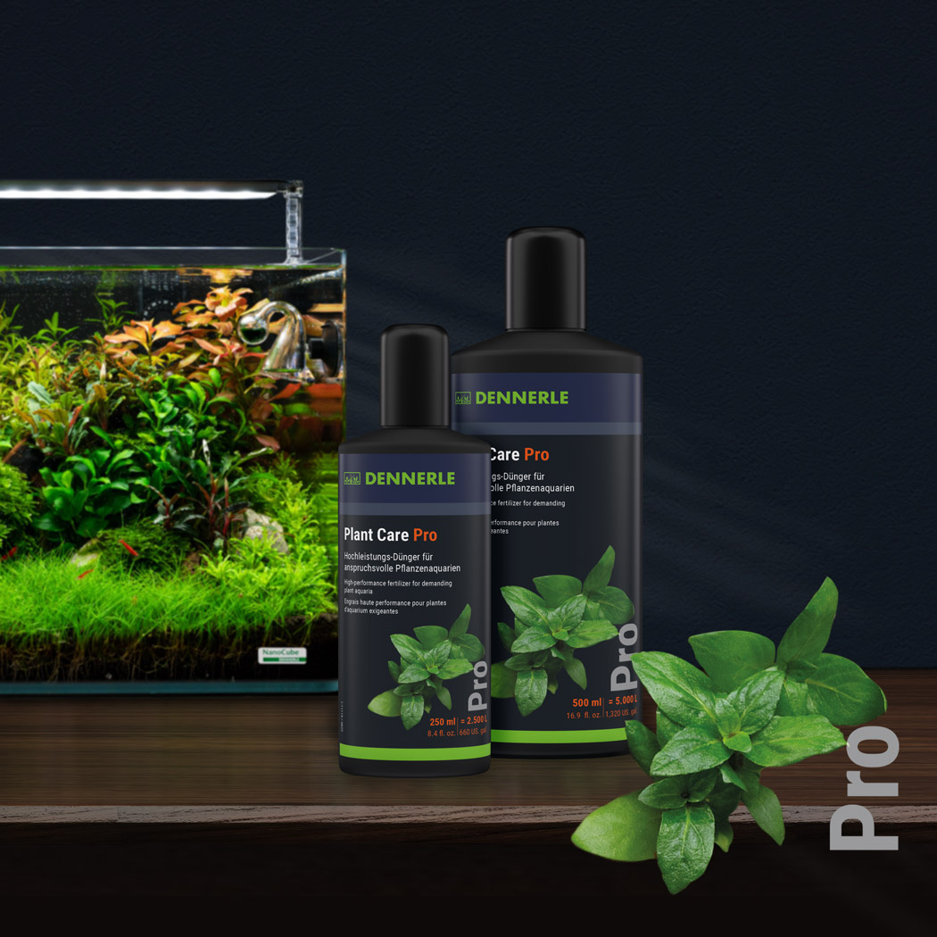 Dennerle Plant Care Pro 250ml | Plantenvoeding
