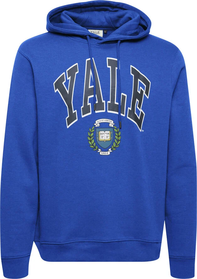 Blend Sweatshirt Regular fit Victoria blue