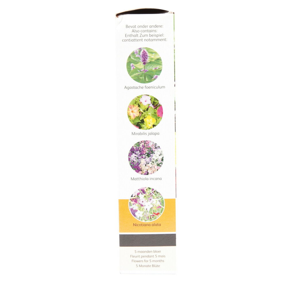 Buzzy Friendly Flowers 15 m² Geurende