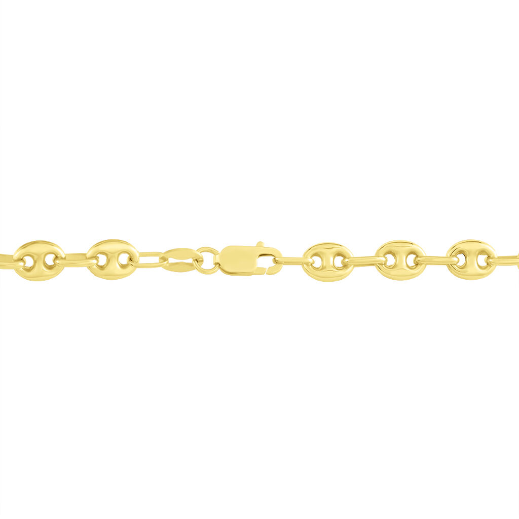 Collier Maille Dami Or Jaune