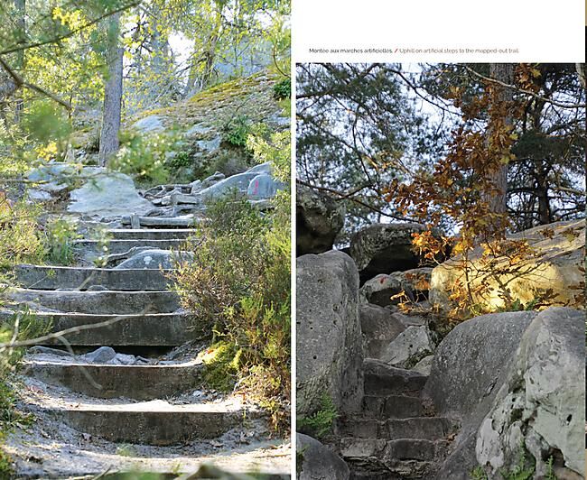 EN FORET DE FONTAINEBLEAU