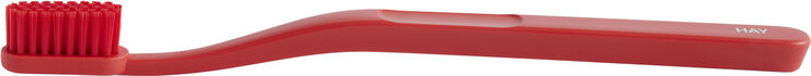 Hay Tann Toothbrush-Red Red