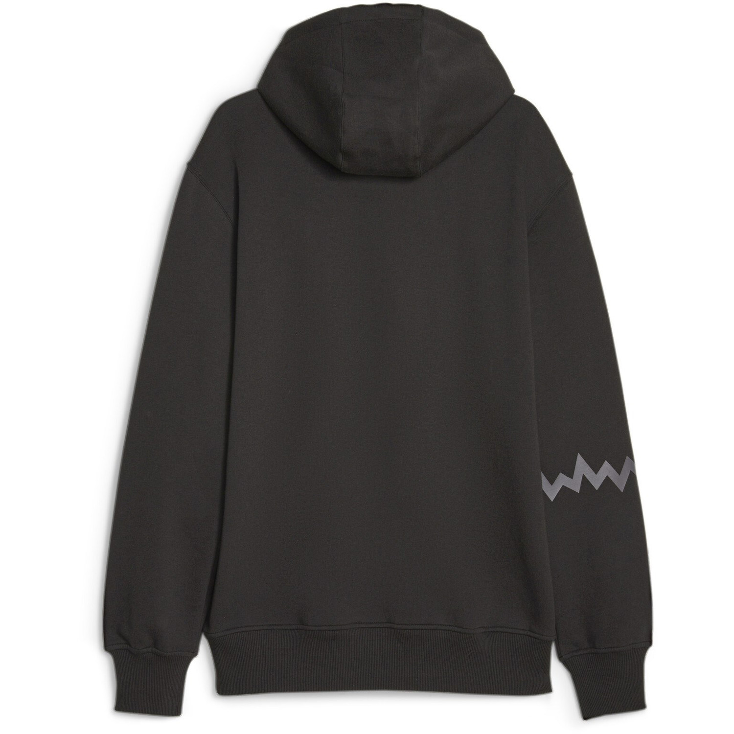 Puma Hoops Team Hoodie