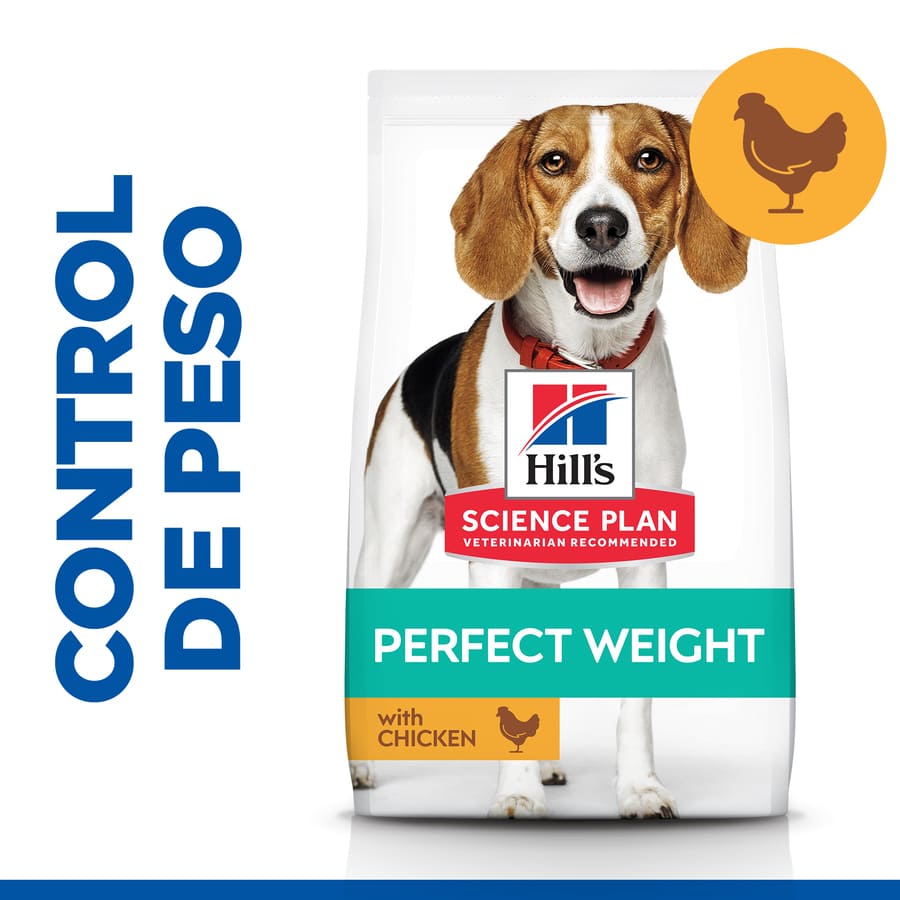Hill's Science Plan Perfect Weight Adulto Médio Frango para cachorros