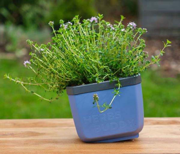 Gusta Garden Kräutertopf Herbs Buddy, ca.