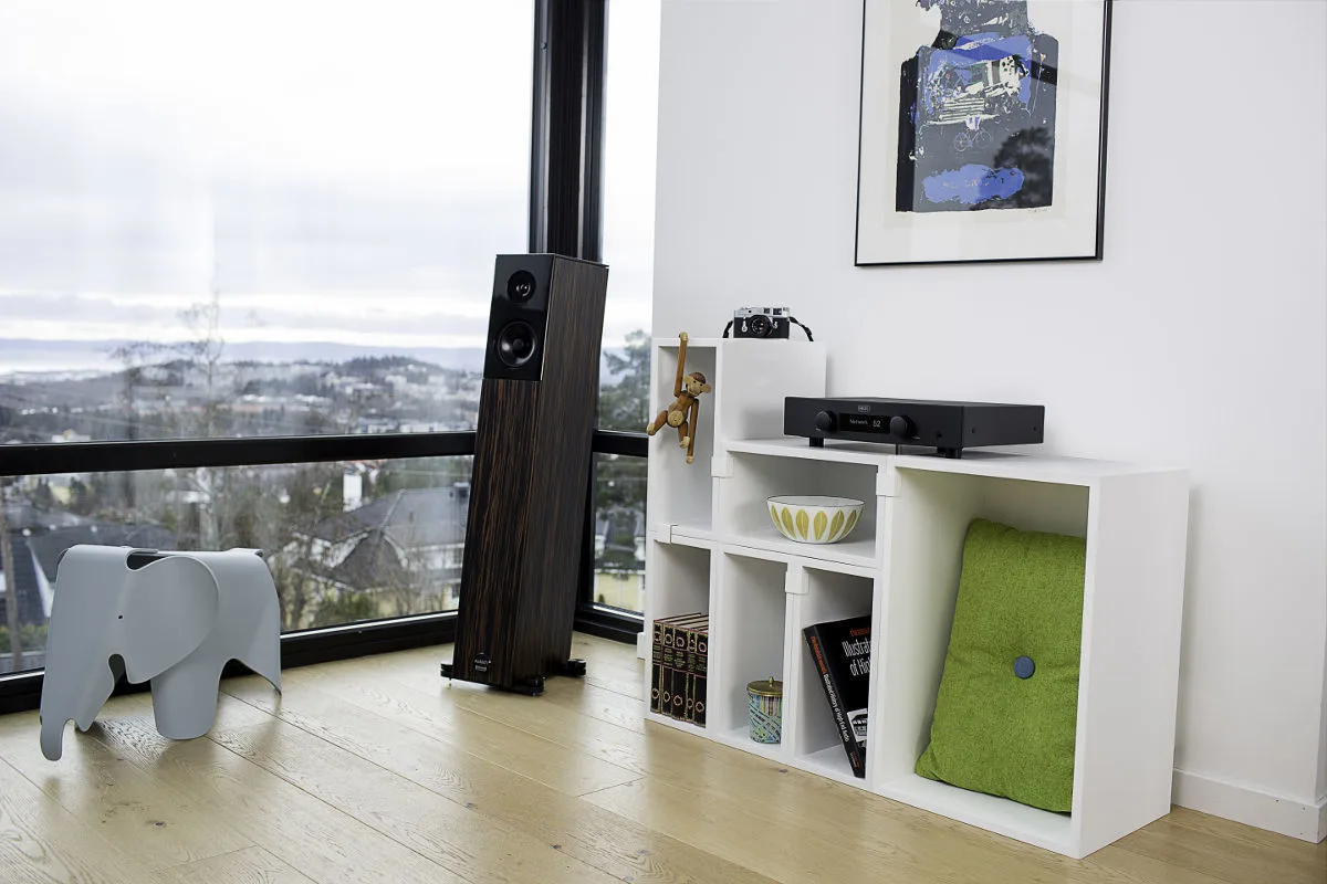 Hegel H95 Amplis DAC