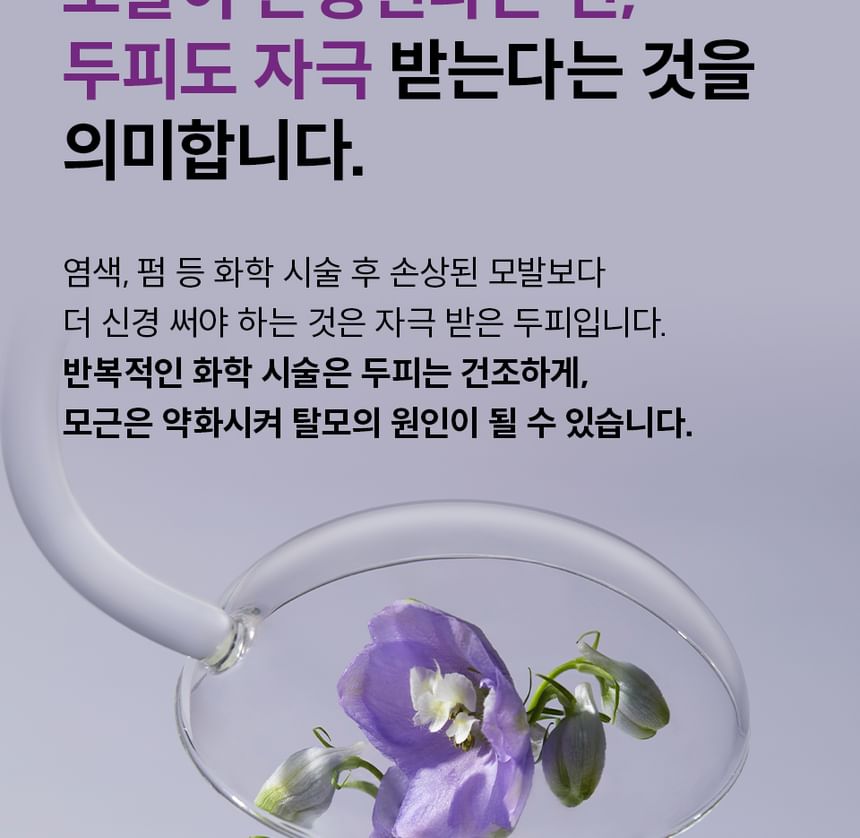 Dr.FORHAIR - Folligen Silk Shampoo Jumbo