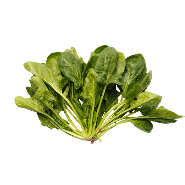 Dagverse Spinazie 500g