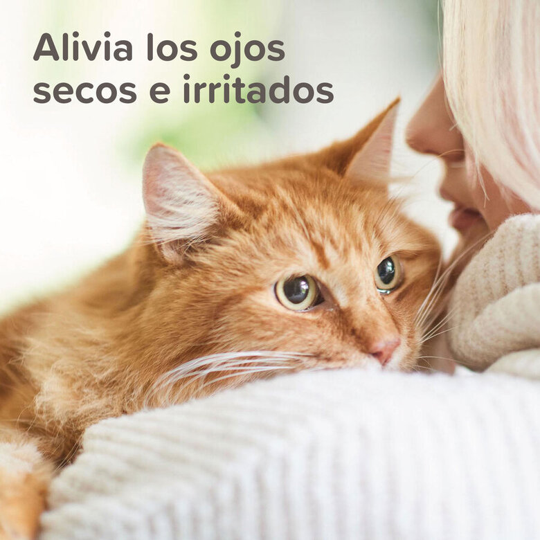 Gel oftálmico para animais de estimação Beaphar