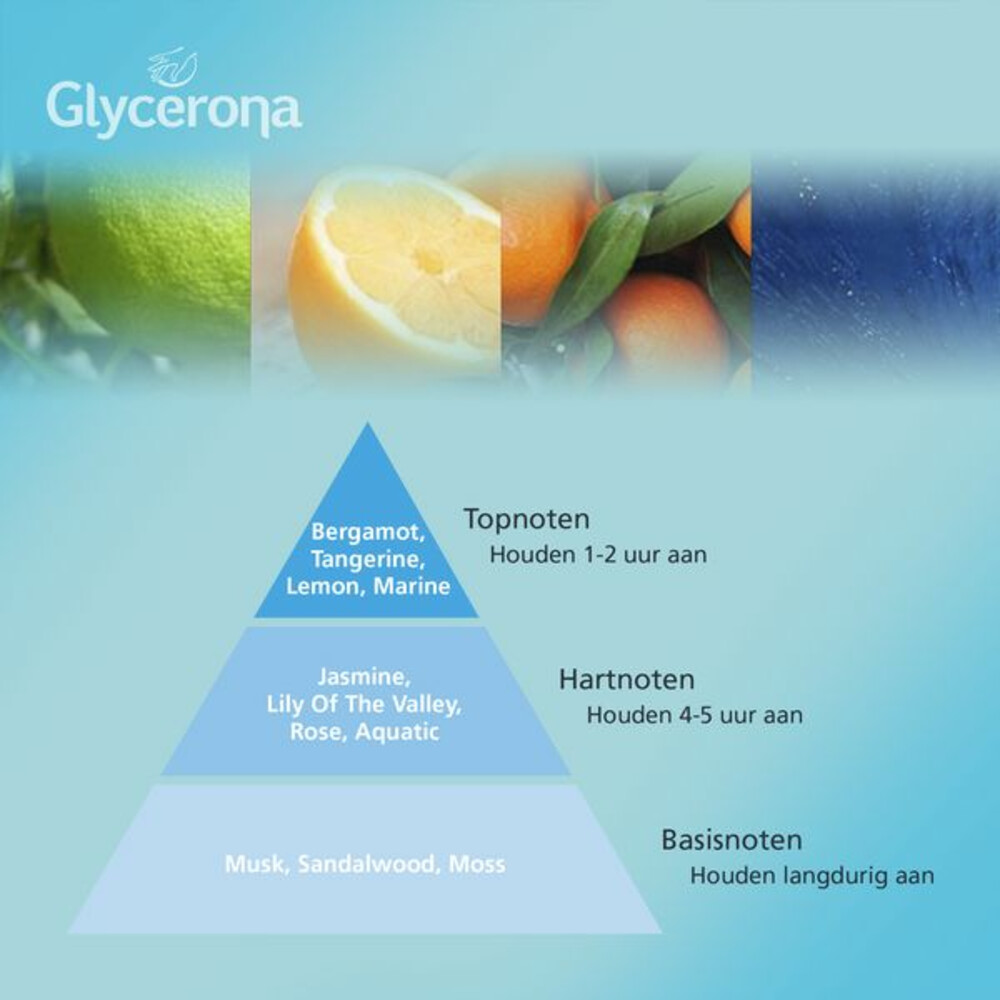 Glycerona Hygiënische Handgel Aloë Vera100 ml