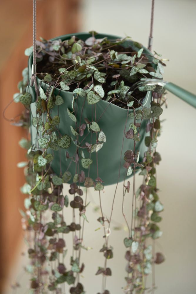 Elho hangpot B.for Swing groen 20,5 x 20 x 16,5 cm