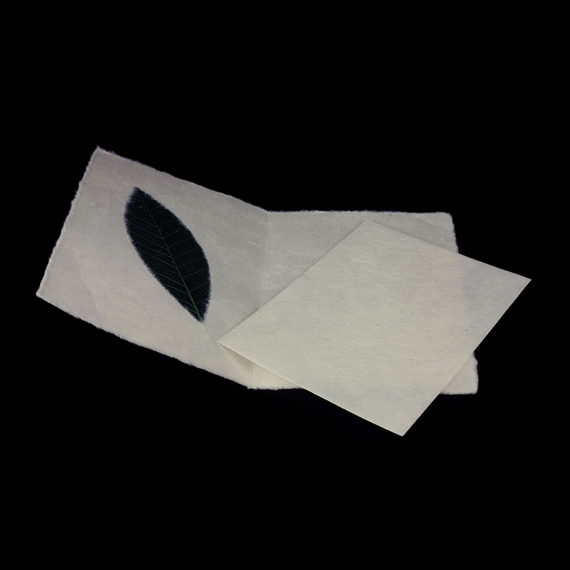 Grußkarte 'Rubber Leaf Green', B 12 cm, H 17 cm günstig bestellen