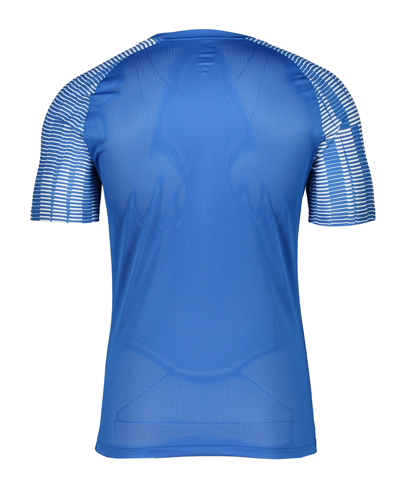 Nike Academy Trikot Blau Weiss F463