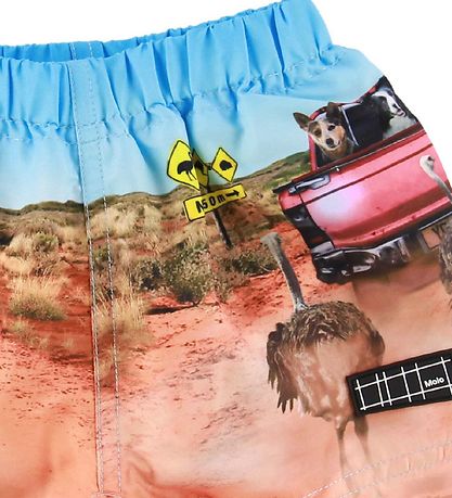 Molo Badeshorts - Badeshorts UV50+ - Newton - Im Busch