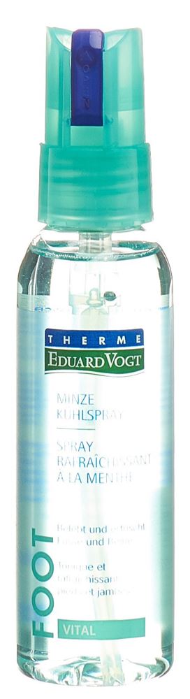 EDUARD VOGT VITAL Fuss Beinspray 100 ml