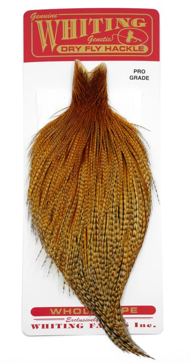 Whiting Silver Cape