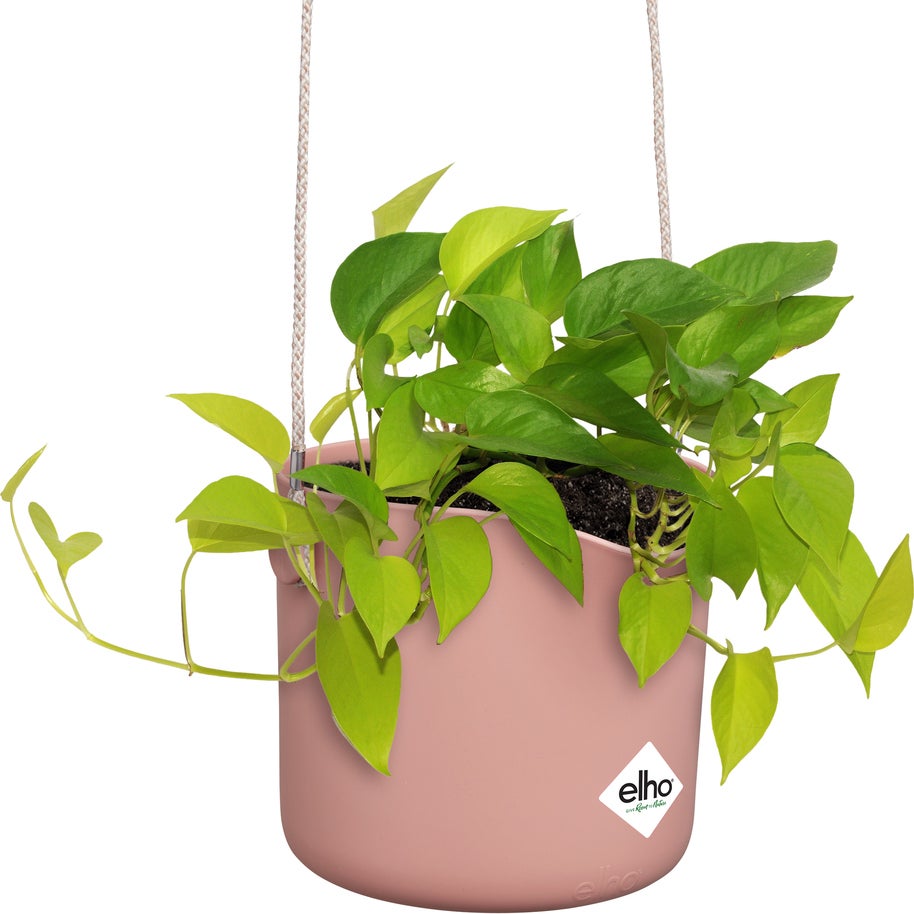 Elho hangpot B.for Swing roze 20,5 x 20 x 16,5 cm