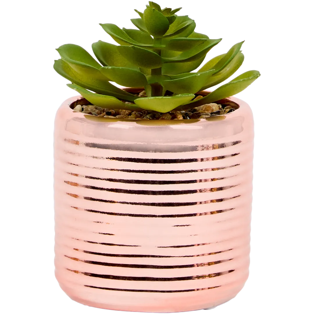 Kunstvetplant in pot Diverse varianten