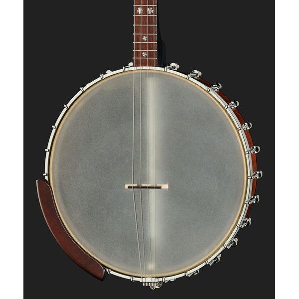 Gold Tone Irish Tenor Banjo 12
