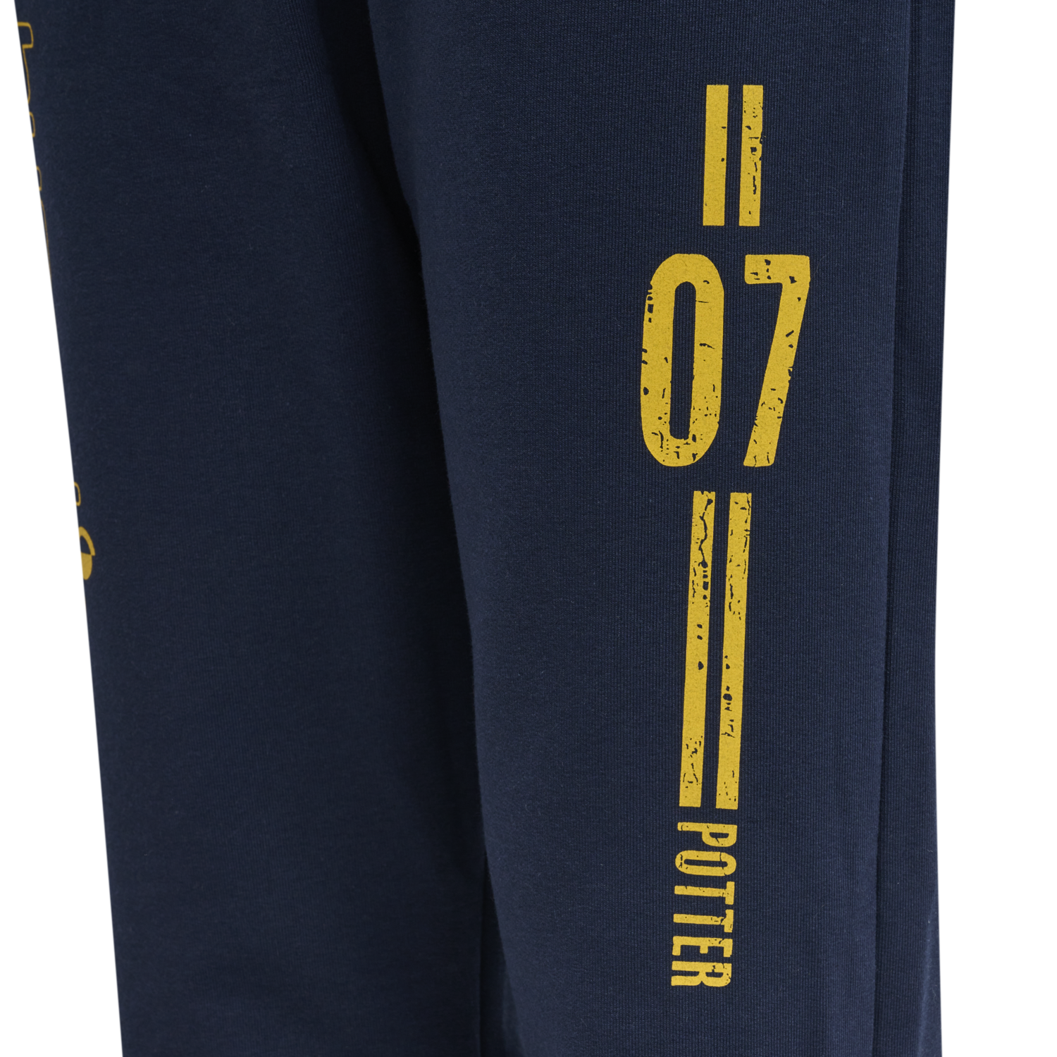 hmlHARRY POTTER ON PANTS