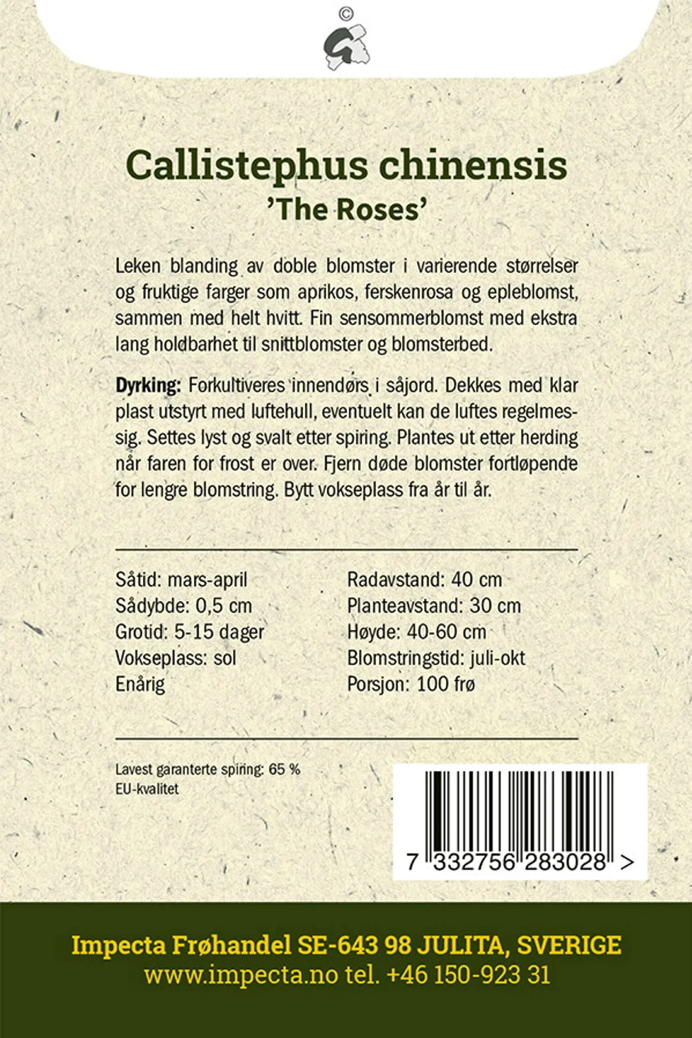 Callistephus chinensis 'The Roses' Sommeraster 'The Roses'