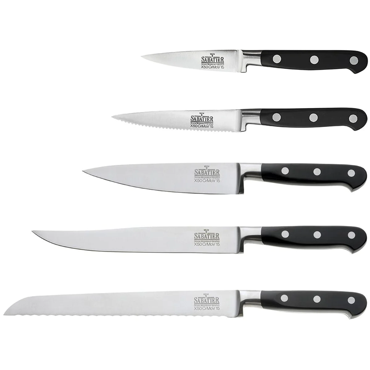 V Sabatier Life - Bloc 5 couteaux de cuisine Richardson Sheffield