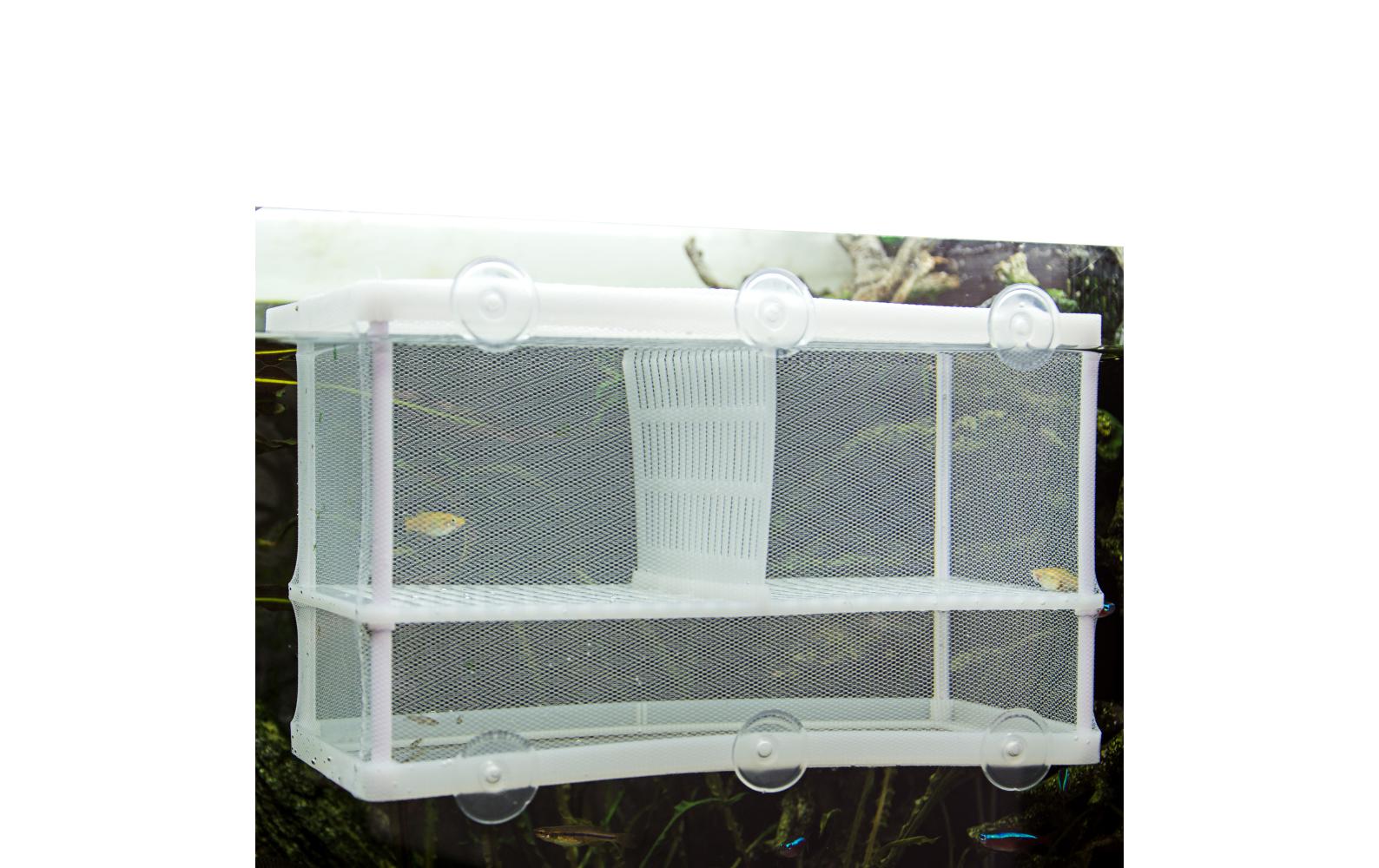 Ablaichbehälter Nido 3.1 XL, 25 x 15 x 14.5 cmGrosser Netz-Ablaichbehälter