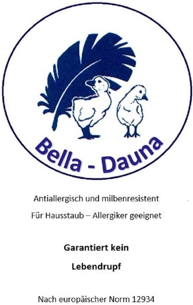 Betten Hofmann Franken 8cm Hochsteg Winterbett Daunenbett Daunendecke 4x6 135x200 cm, 1080g Füllung, warme Winterdecke, Naturprodukt