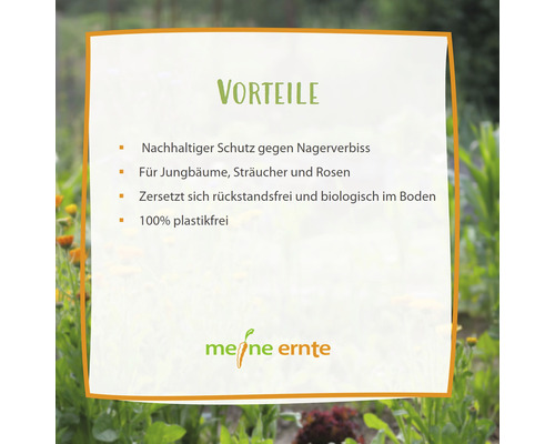 Woelmuisbeschermingsmand, verzinkt, klein, 35 x 40 cm, tegen wortelschade voor bomen, struiken, bollen en rozen, woelmuisbeschermingsnet, 100% plasticvrij
