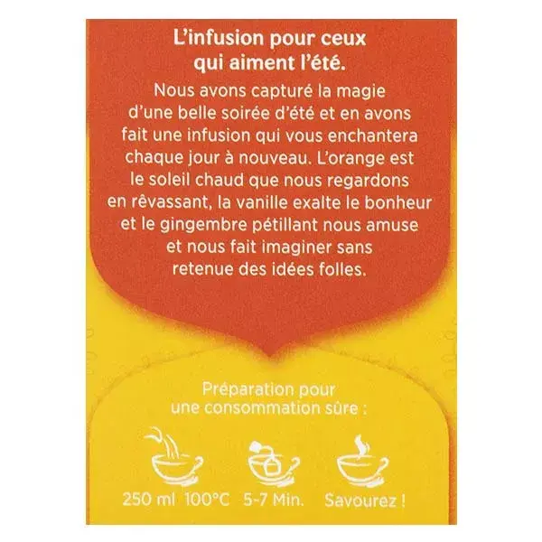 Chá Yogi de Gengibre, Laranja e Baunilha - 17 sachês