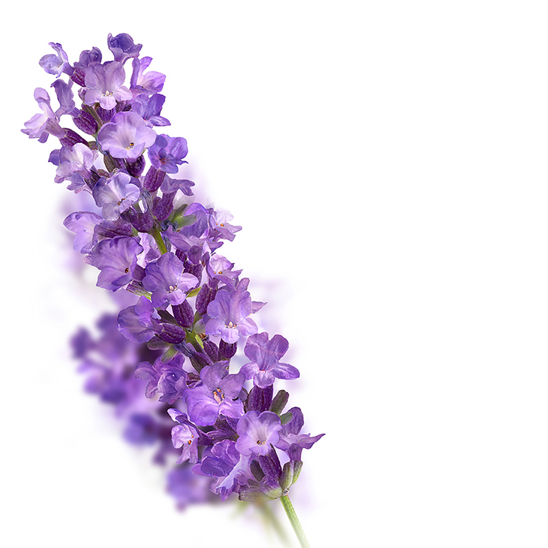 Kneipp Badkristal relaxing lavender (600 gr)