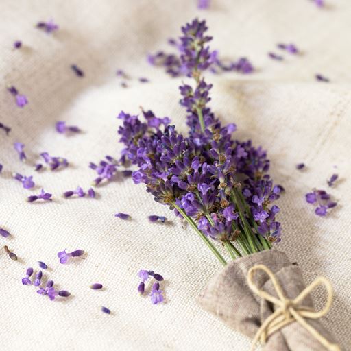 Volant Æterisk Olie, Lavender