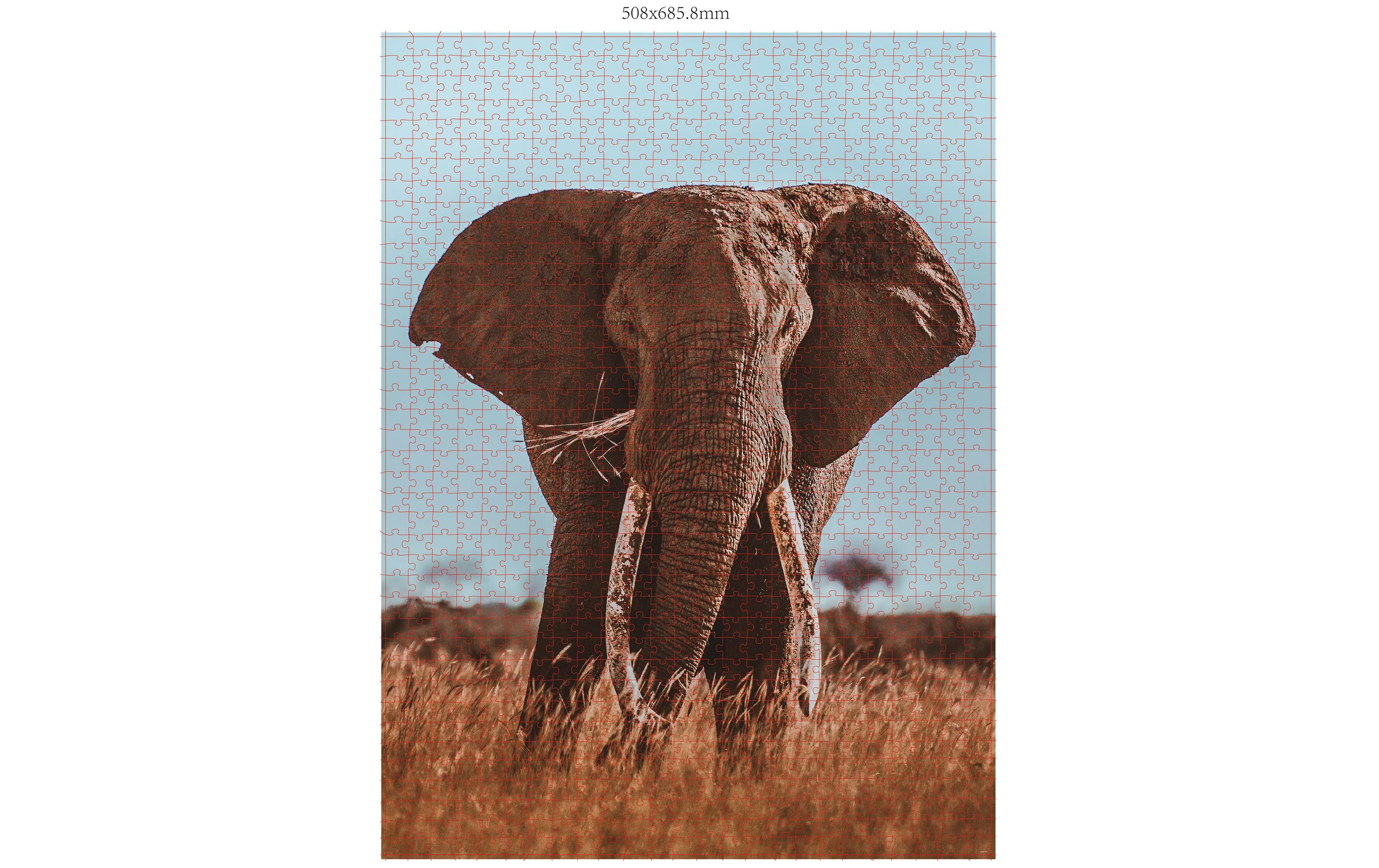 Puzzle Wildtiere BlickkontaktPuzzle-Set für Erwachsene und Kinder
