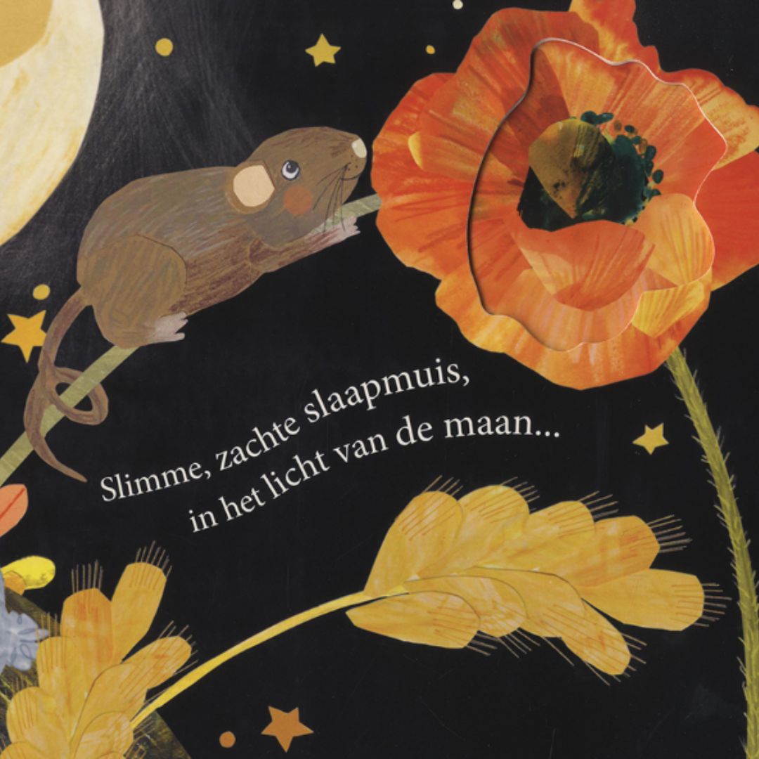 Veltman uitgevers kartonboek uil houdt van jou