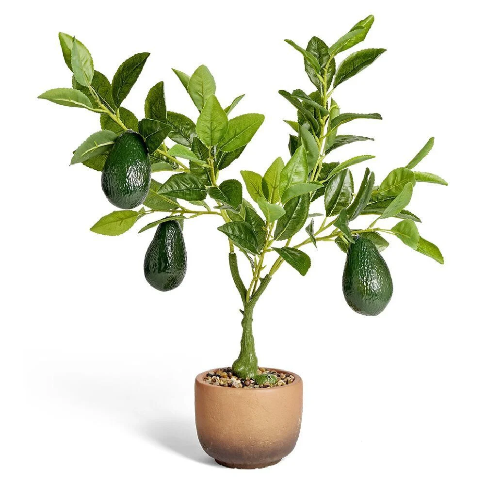 Avocatier artificiel dans pot terre cuite H60cm