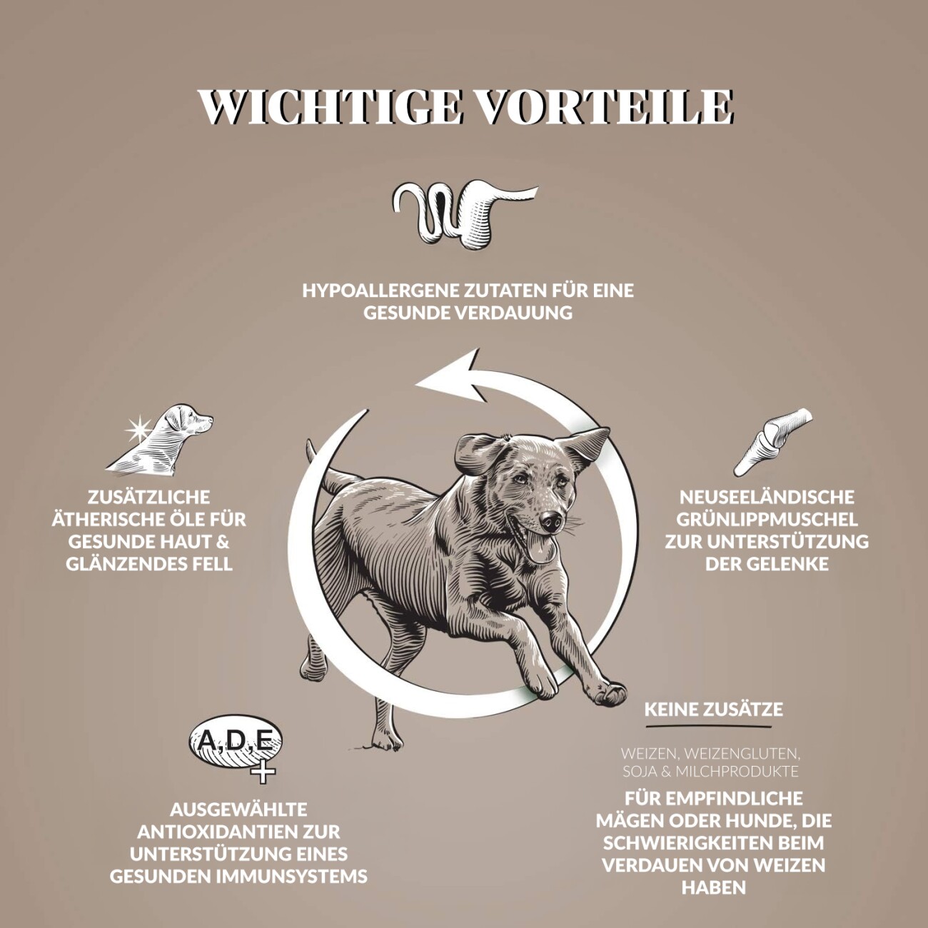 Dr John Getreidefreies Huhn & Kartoffeln 3x2 kg