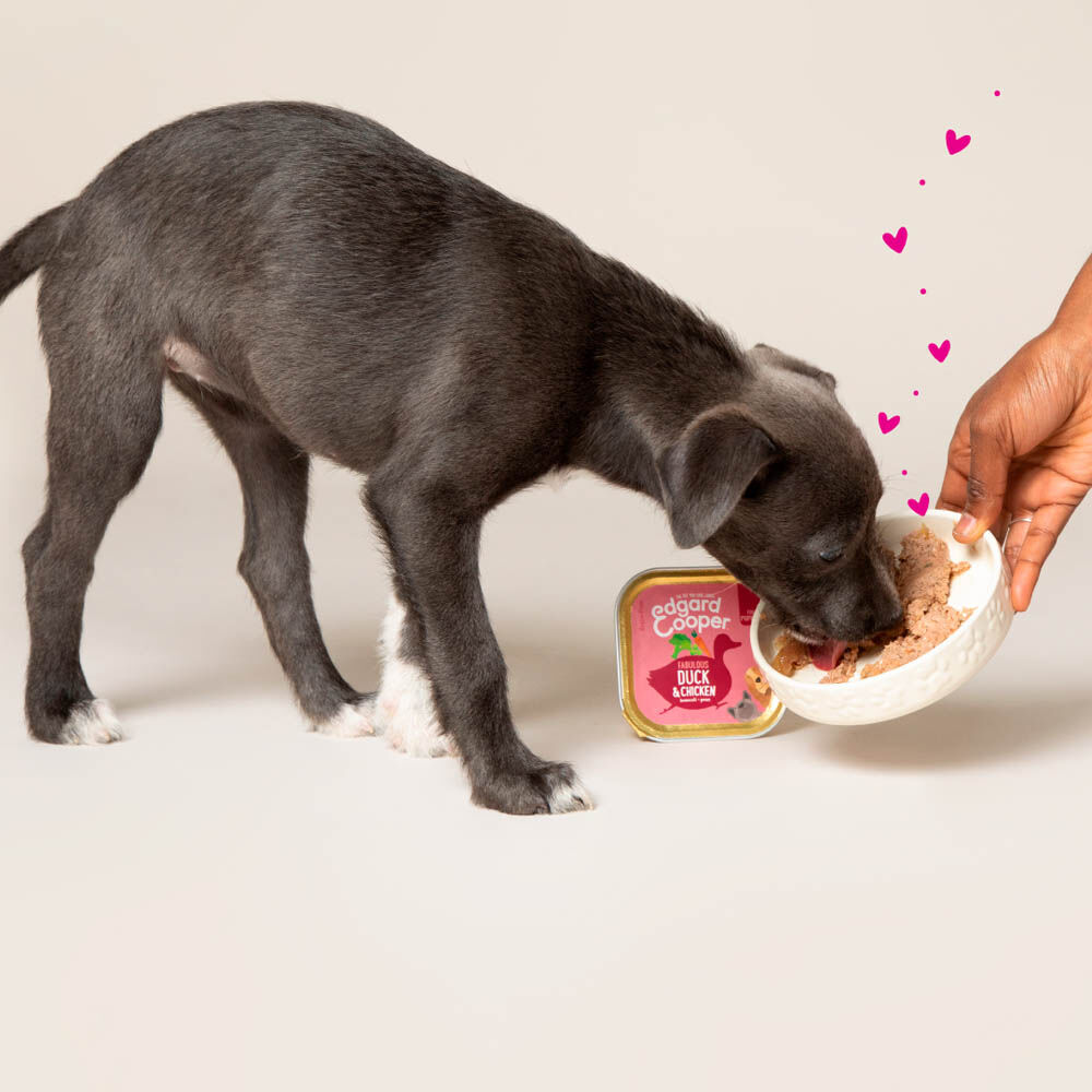 Edgard & Cooper Puppy - Hondenvoer - 150 Gram - kip, eend