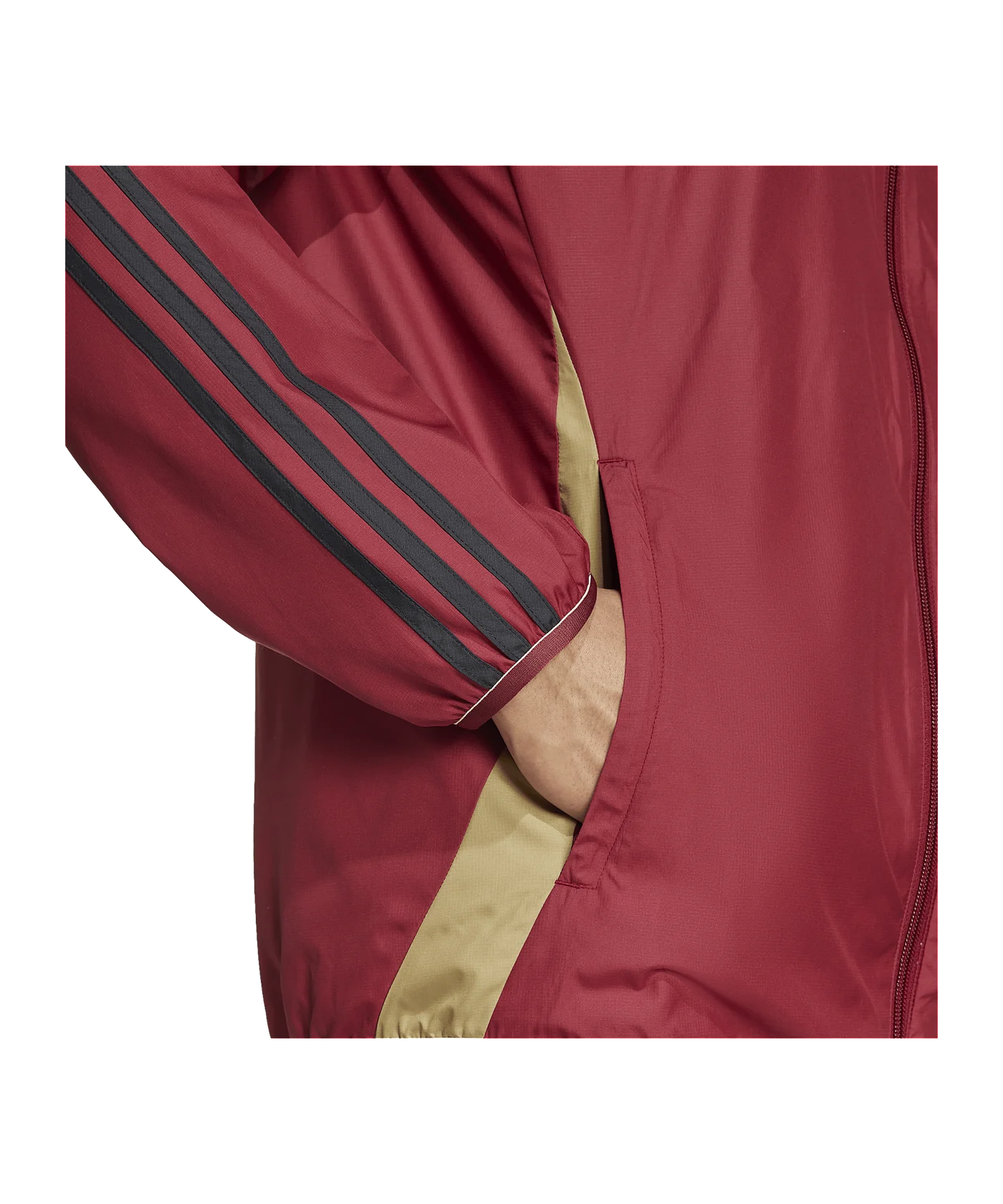 adidas Belgien Anthem Jacke Blau