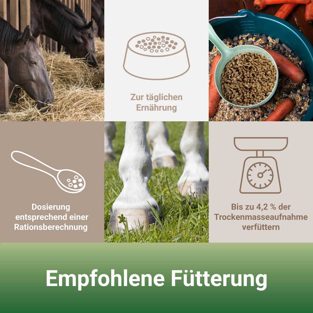 Panto PFERDEMINERAL MIT WISAN-LEIN 7,5kg