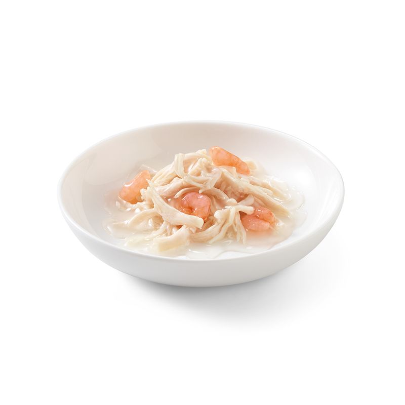 Schesir Natural en sauce 24 x 70 g