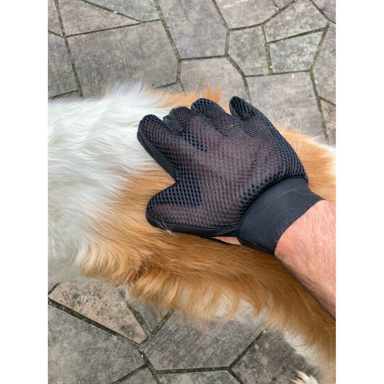 Mewow Fellpflegehandschuh für Hunde und Katzen
