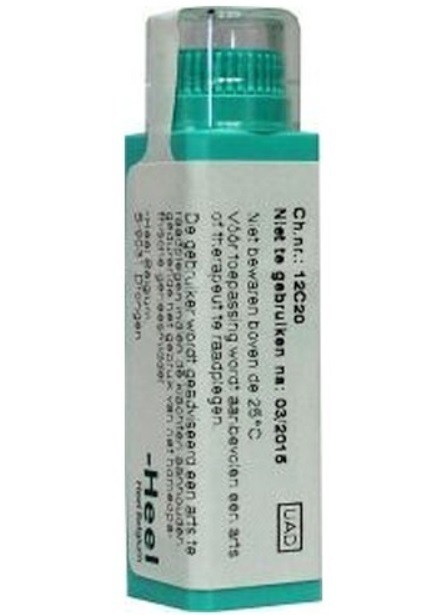 Homeoden Heel Hypericum Perforatum D12 4g